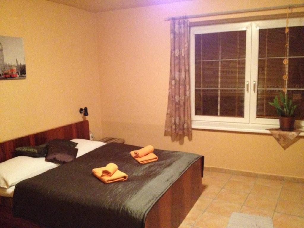 Asso Penzion Bojnice Oda fotoğraf